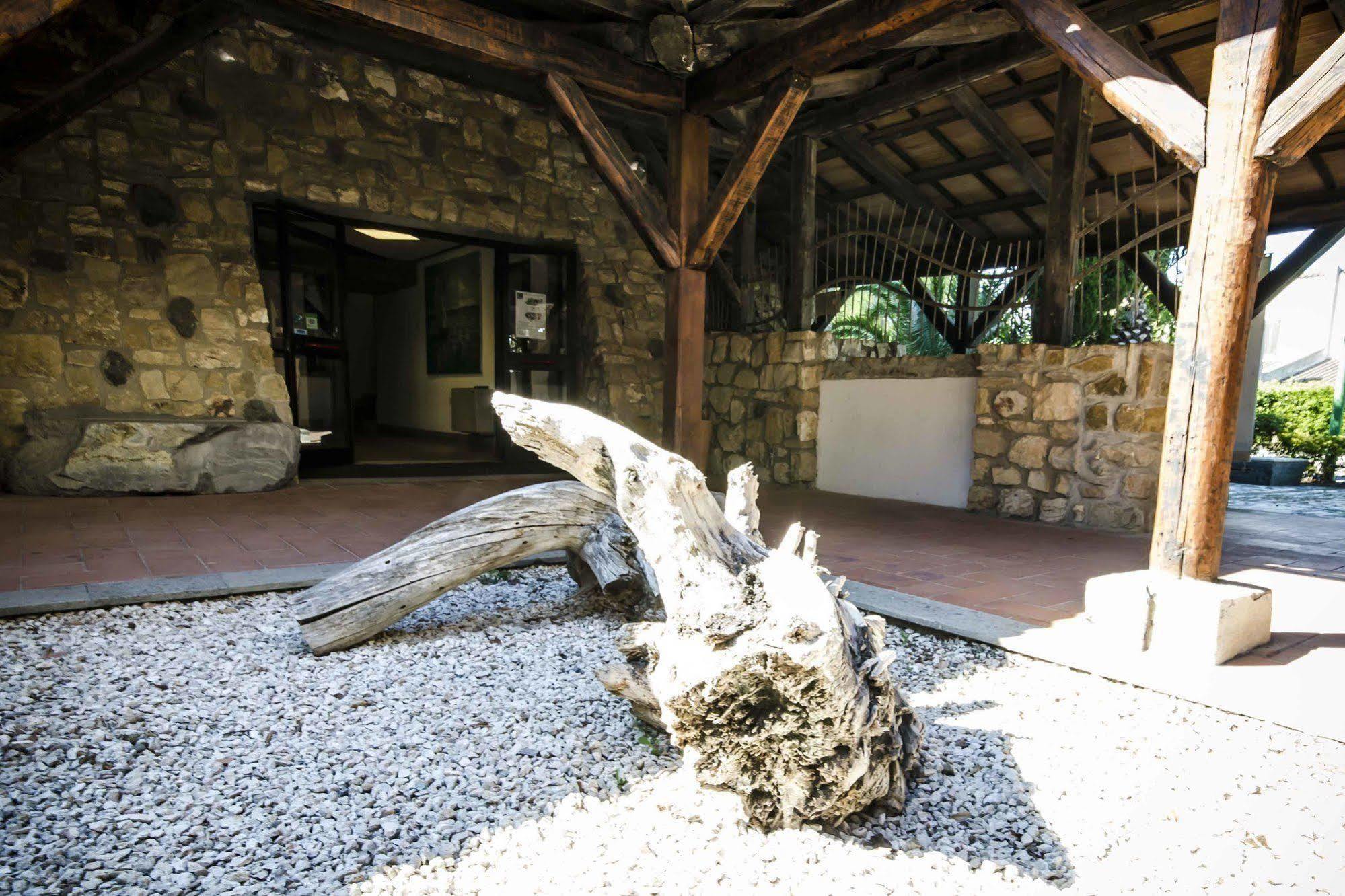 Hotel Torre Del Sole Tarquinia Exteriér fotografie
